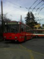 /album/fotogaleria/p13-03-11-15-13-jpg/
